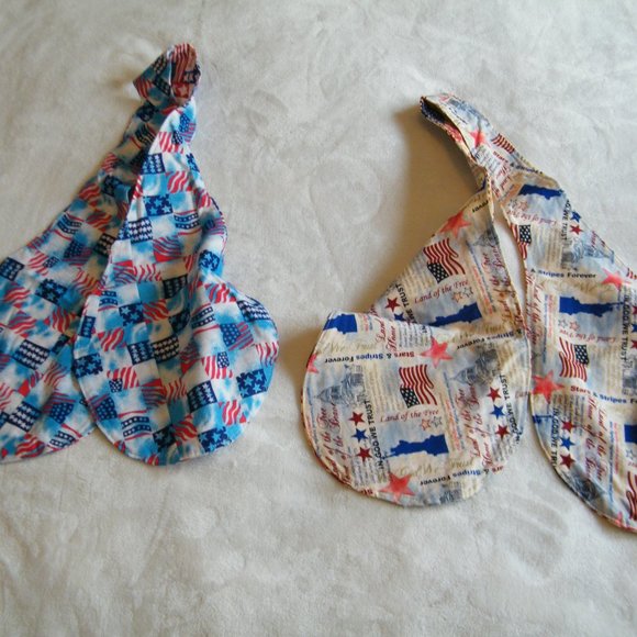 Patriotic Party Ascot Ties Set of 2 - Picture 2 of 3